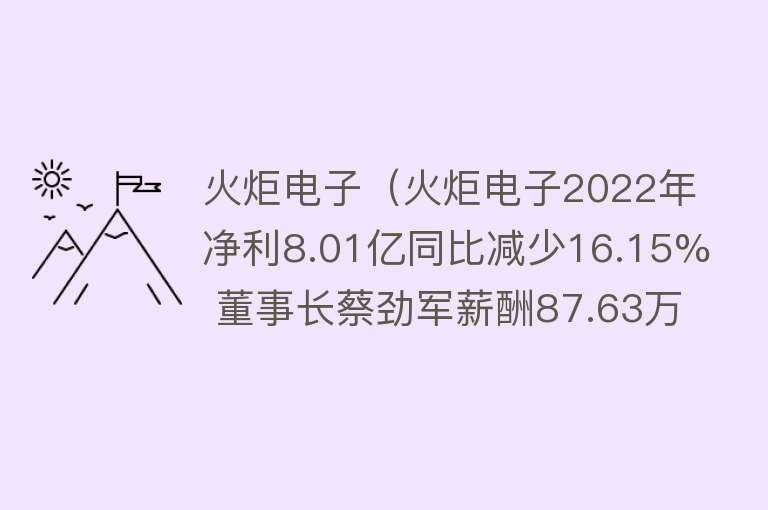 火炬电子（火炬电子2022年净利8.01亿同比减少16.15% 董事长蔡劲军薪酬87.63万） 