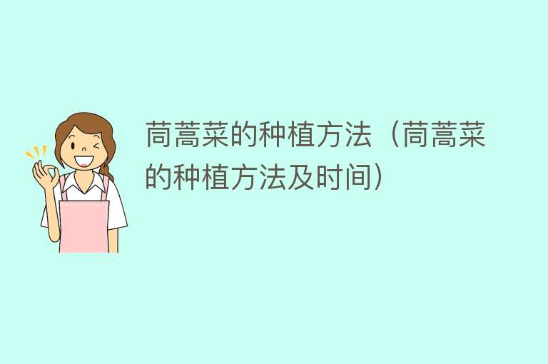 茼蒿菜的种植方法(茼蒿菜的种植方法及时间)