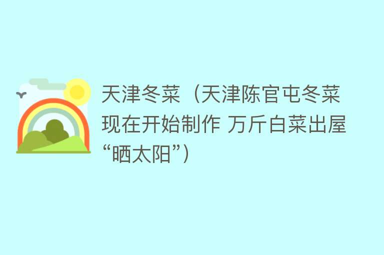 天津冬菜（天津陈官屯冬菜现在开始制作 万斤白菜出屋“晒太阳”） 