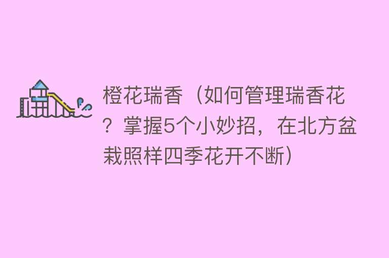 橙花瑞香（如何管理瑞香花？掌握5个小妙招，在北方盆栽照样四季花开不断） 