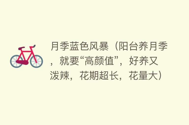 月季蓝色风暴(阳台养月季,就要“高颜值”,好养又泼辣,花期超长,花量大)