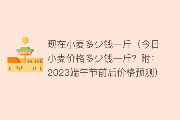 现在小麦多少钱一斤（今日小麦价格多少钱一斤？附：2023端午节前后价格预测） 