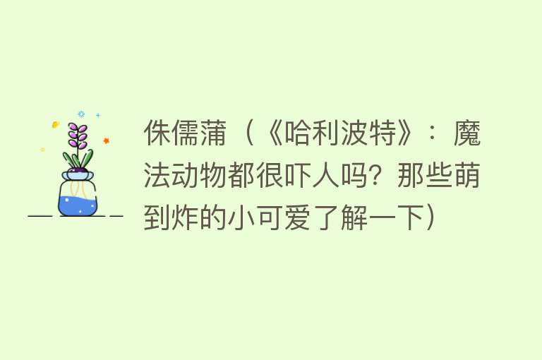 侏儒蒲（《哈利波特》：魔法动物都很吓人吗？那些萌到炸的小可爱了解一下） 