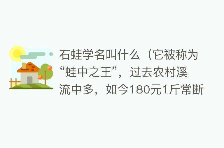 石蛙学名叫什么（它被称为“蛙中之王”，过去农村溪流中多，如今180元1斤常断货） 