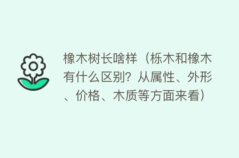 橡木树长啥样（栎木和橡木有什么区别？从属性、外形、价格、木质等方面来看） 