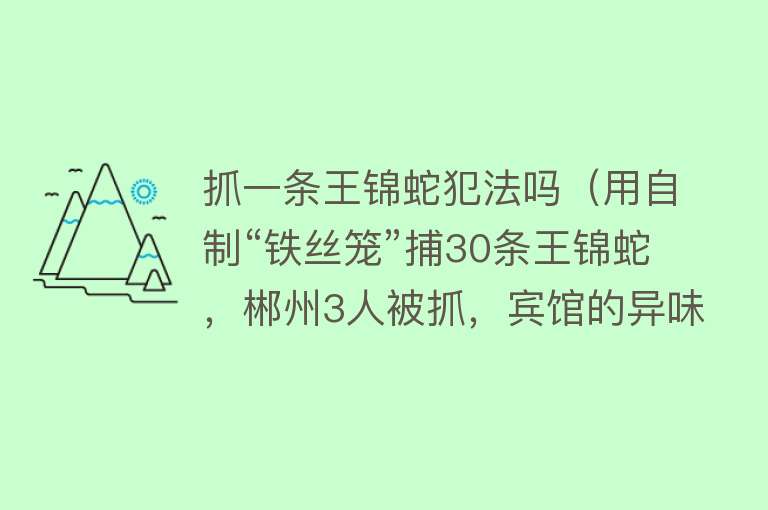 抓一条王锦蛇犯法吗（用自制“铁丝笼”捕30条王锦蛇，郴州3人被抓，宾馆的异味泄露线索） 