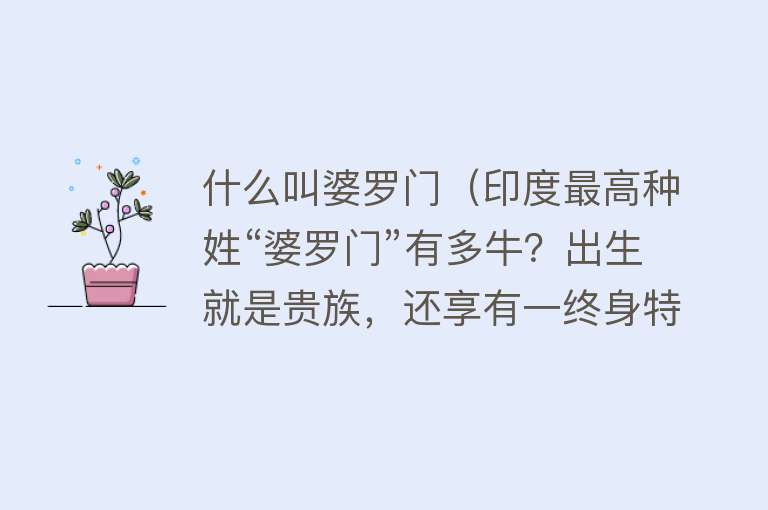 什么叫婆罗门（印度最高种姓“婆罗门”有多牛？出生就是贵族，还享有一终身特权） 