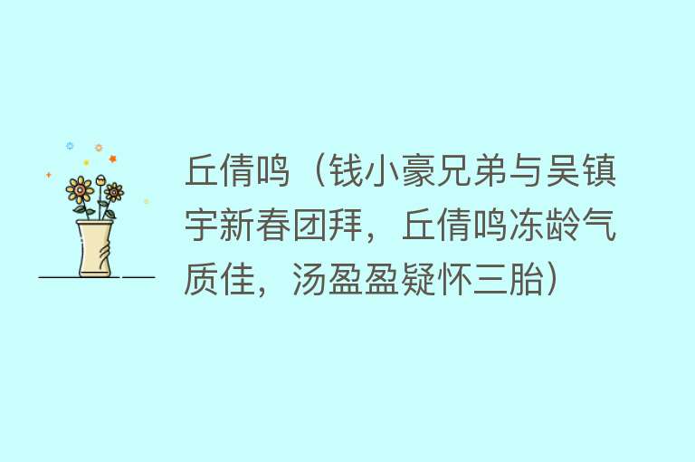 丘倩鸣（钱小豪兄弟与吴镇宇新春团拜，丘倩鸣冻龄气质佳，汤盈盈疑怀三胎） 