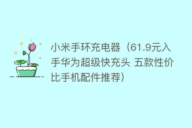 小米手环充电器（61.9元入手华为超级快充头 五款性价比手机配件推荐） 