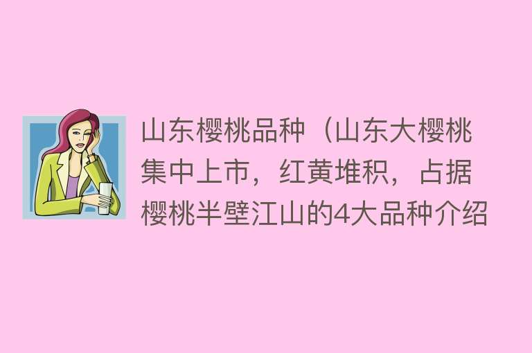 山东樱桃品种（山东大樱桃集中上市，红黄堆积，占据樱桃半壁江山的4大品种介绍） 