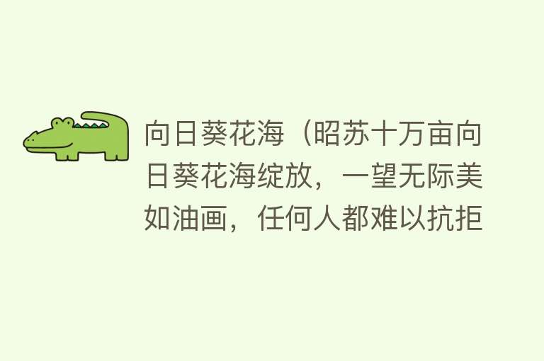 向日葵花海（昭苏十万亩向日葵花海绽放，一望无际美如油画，任何人都难以抗拒） 