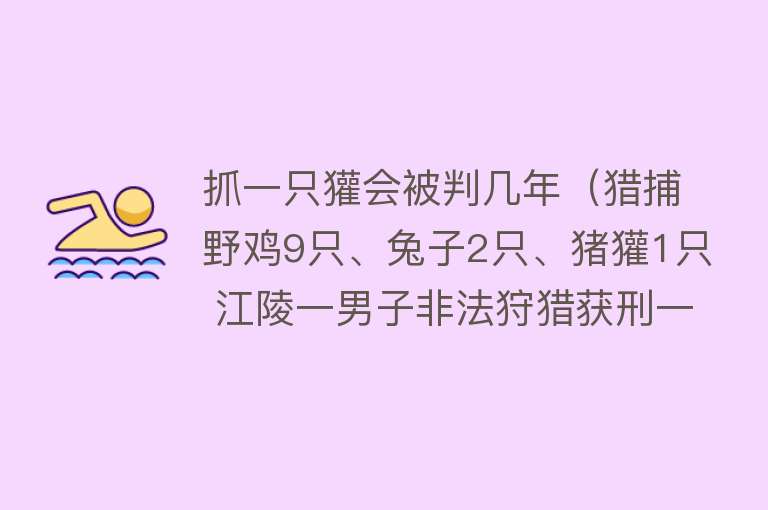 抓一只獾会被判几年（猎捕野鸡9只、兔子2只、猪獾1只 江陵一男子非法狩猎获刑一年六个月） 