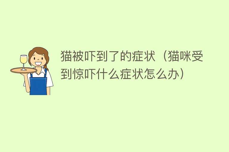 猫被吓到了的症状（猫咪受到惊吓什么症状怎么办） 