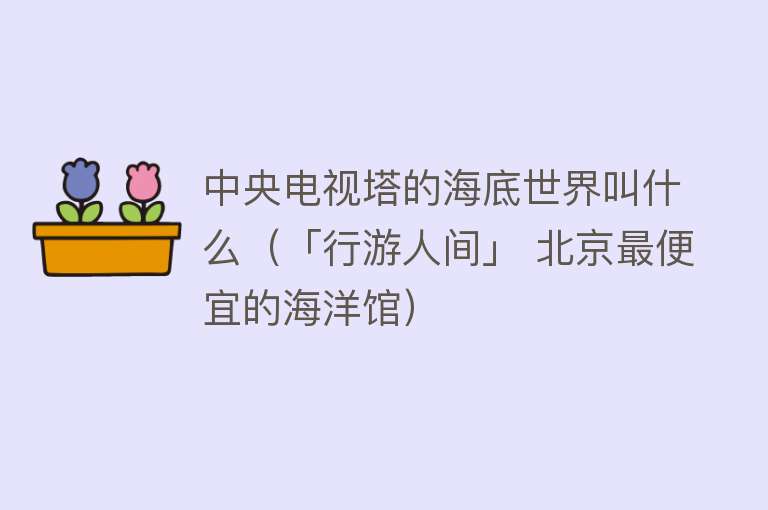 中央电视塔的海底世界叫什么（「行游人间」 北京最便宜的海洋馆） 