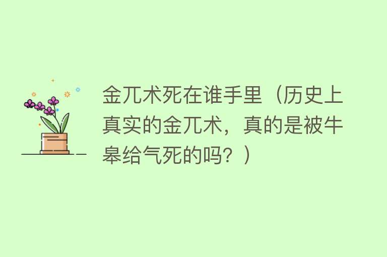 金兀术死在谁手里（历史上真实的金兀术，真的是被牛皋给气死的吗？） 