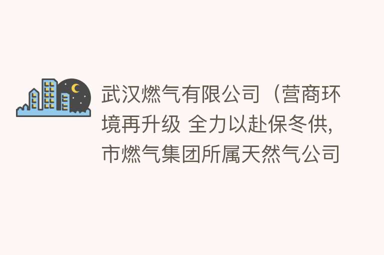 武汉燃气有限公司（营商环境再升级 全力以赴保冬供,市燃气集团所属天然气公司坚定不移做好暖民心服务） 