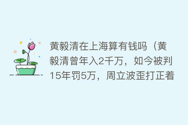 黄毅清在上海算有钱吗（黄毅清曾年入2千万，如今被判15年罚5万，周立波歪打正着为民除害） 