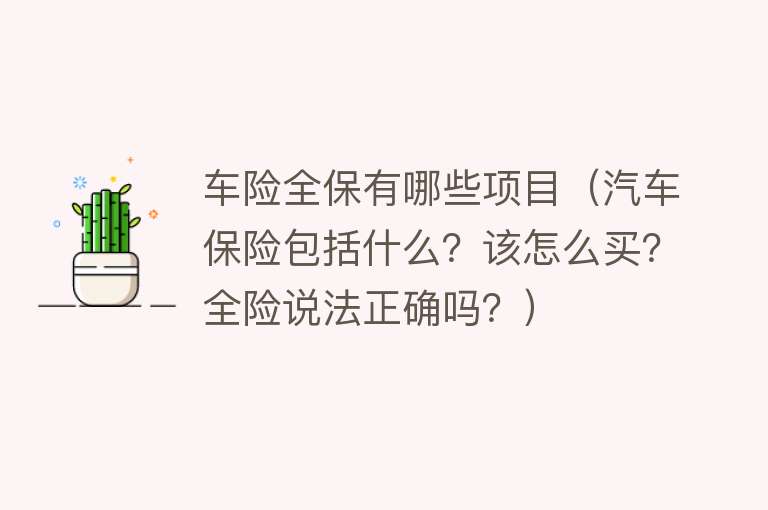 车险全保有哪些项目（汽车保险包括什么？该怎么买？全险说法正确吗？） 