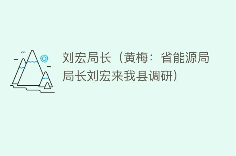 刘宏局长（黄梅：省能源局局长刘宏来我县调研） 