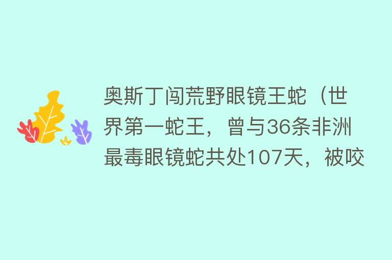 奥斯丁闯荒野眼镜王蛇（世界第一蛇王，曾与36条非洲最毒眼镜蛇共处107天，被咬仍不离开） 