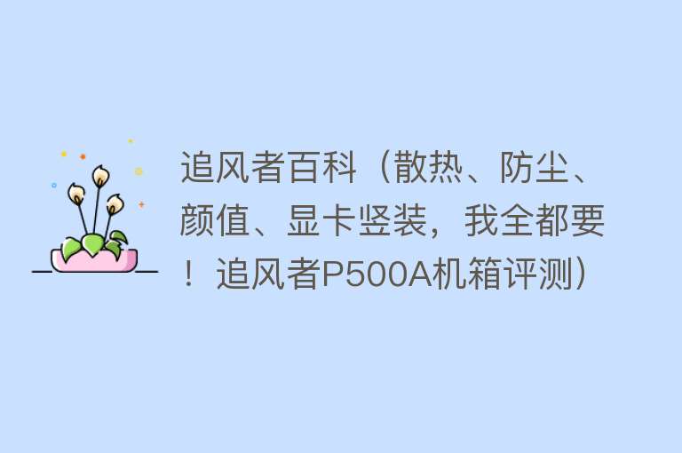 追风者百科（散热、防尘、颜值、显卡竖装，我全都要！追风者P500A机箱评测） 