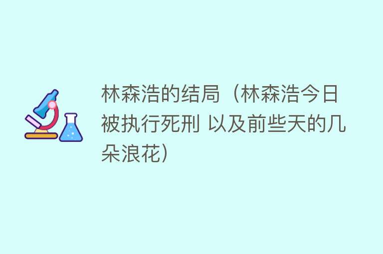 林森浩的结局（林森浩今日被执行死刑 以及前些天的几朵浪花） 