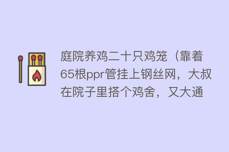 庭院养鸡二十只鸡笼（靠着65根ppr管挂上钢丝网，大叔在院子里搭个鸡舍，又大通风又好） 