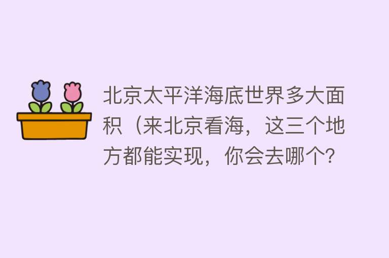 北京太平洋海底世界多大面积（来北京看海，这三个地方都能实现，你会去哪个？） 