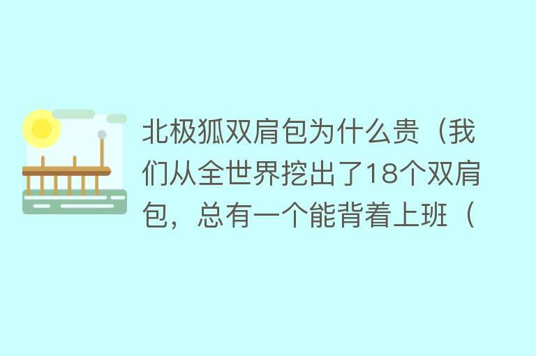 北极狐双肩包为什么贵（我们从全世界挖出了18个双肩包，总有一个能背着上班（上篇）） 