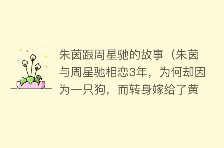 朱茵跟周星驰的故事（朱茵与周星驰相恋3年，为何却因为一只狗，而转身嫁给了黄贯中？） 