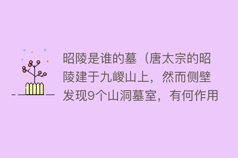 昭陵是谁的墓（唐太宗的昭陵建于九嵕山上，然而侧壁发现9个山洞墓室，有何作用）