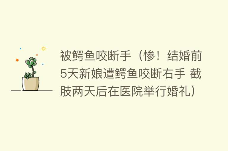 被鳄鱼咬断手（惨！结婚前5天新娘遭鳄鱼咬断右手 截肢两天后在医院举行婚礼） 