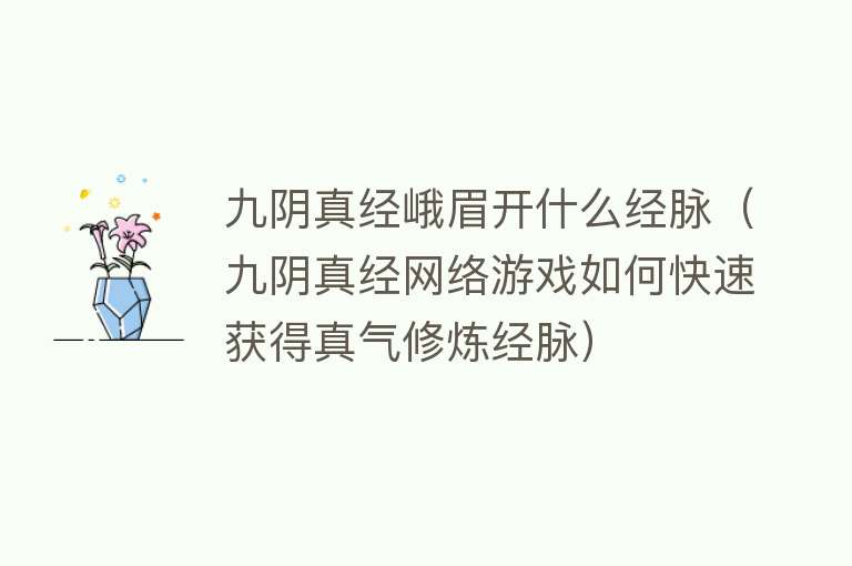 九阴真经峨眉开什么经脉（九阴真经网络游戏如何快速获得真气修炼经脉） 