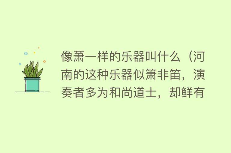 像萧一样的乐器叫什么（河南的这种乐器似箫非笛，演奏者多为和尚道士，却鲜有人知） 