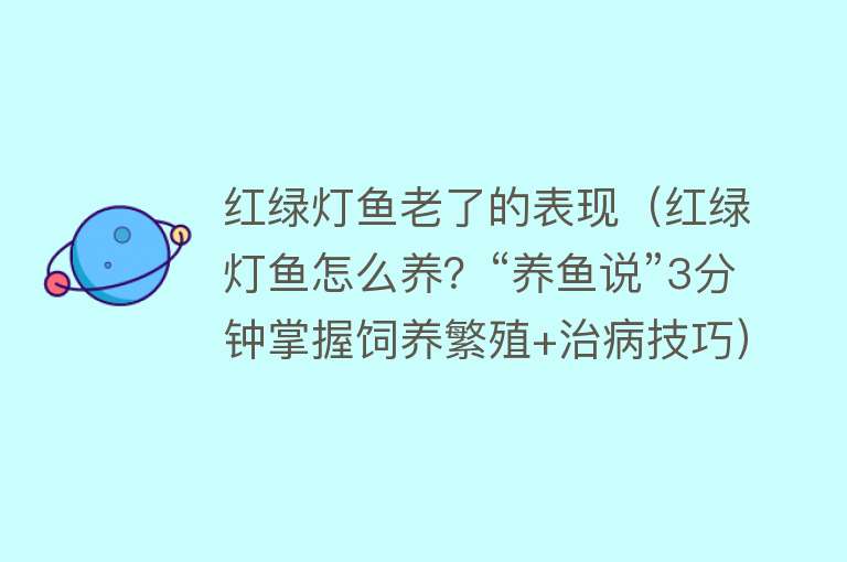 红绿灯鱼老了的表现（红绿灯鱼怎么养？“养鱼说”3分钟掌握饲养繁殖+治病技巧） 