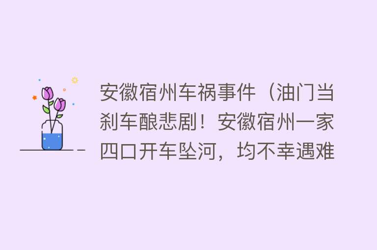 安徽宿州车祸事件（油门当刹车酿悲剧！安徽宿州一家四口开车坠河，均不幸遇难） 