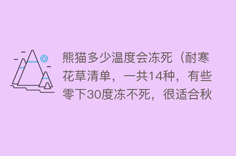 熊猫多少温度会冻死(耐寒花草清单,一共14种,有些零下30度冻不死,很适合秋天栽种)