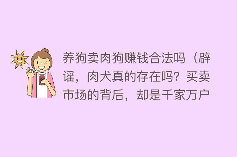 养狗卖肉狗赚钱合法吗（辟谣，肉犬真的存在吗？买卖市场的背后，却是千家万户的哭泣声） 