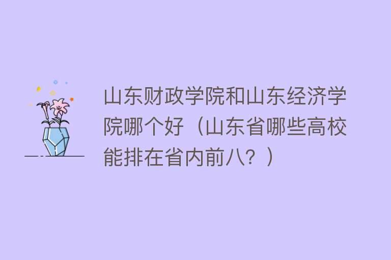 山东财政学院和山东经济学院哪个好（山东省哪些高校能排在省内前八？） 