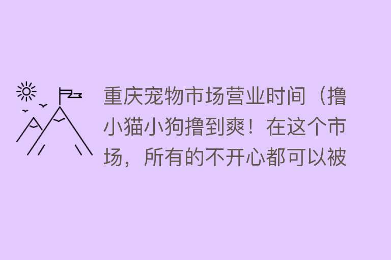 重庆宠物市场营业时间（撸小猫小狗撸到爽！在这个市场，所有的不开心都可以被治愈） 