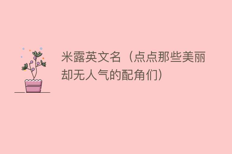 米露英文名（点点那些美丽却无人气的配角们） 