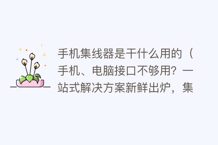 手机集线器是干什么用的（手机、电脑接口不够用？一站式解决方案新鲜出炉，集线器了解一下） 