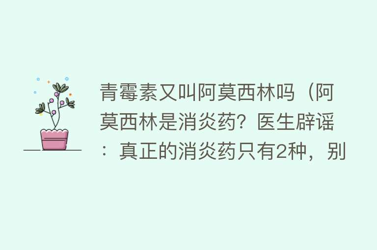 青霉素又叫阿莫西林吗（阿莫西林是消炎药？医生辟谣：真正的消炎药只有2种，别再吃错了） 