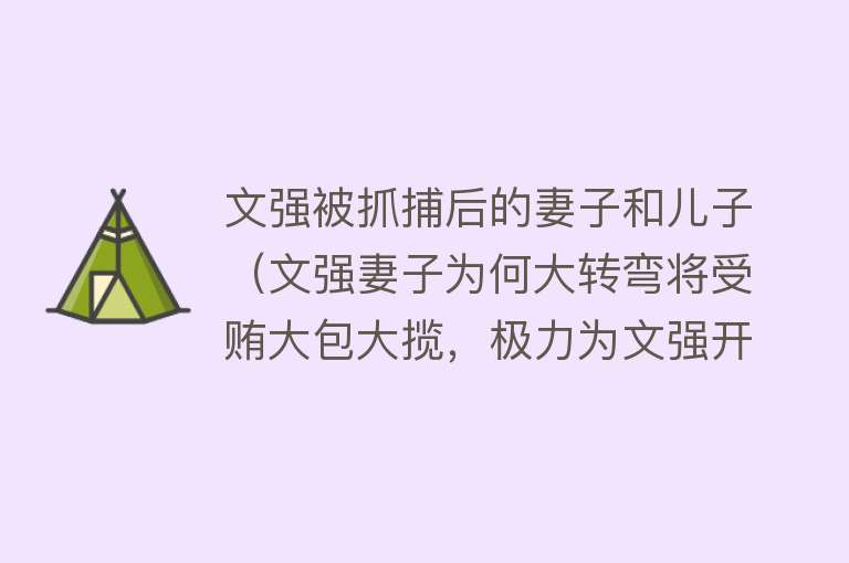 文强被抓捕后的妻子和儿子（文强妻子为何大转弯将受贿大包大揽，极力为文强开脱？） 