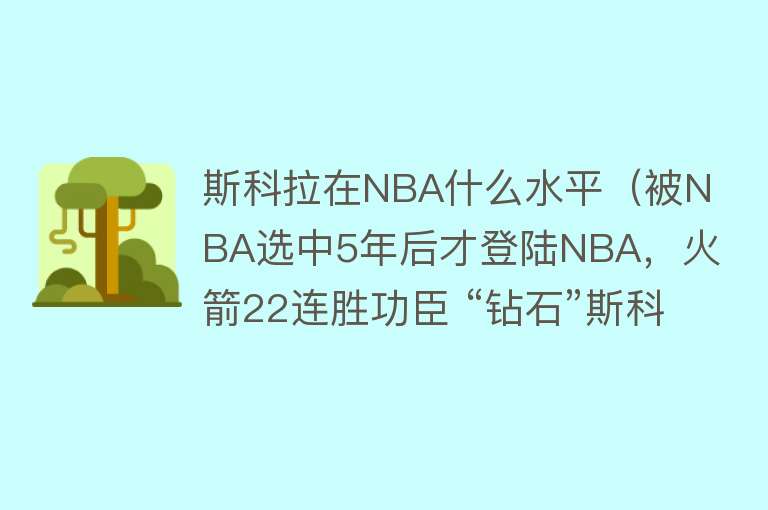 斯科拉在NBA什么水平（被NBA选中5年后才登陆NBA，火箭22连胜功臣 “钻石”斯科拉去哪了） 