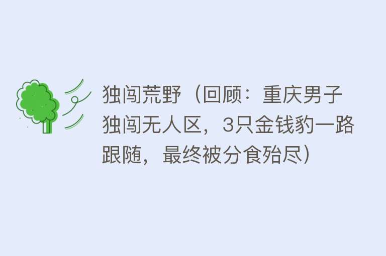 独闯荒野（回顾：重庆男子独闯无人区，3只金钱豹一路跟随，最终被分食殆尽） 