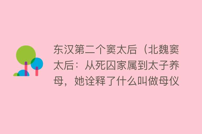 东汉第二个窦太后（北魏窦太后：从死囚家属到太子养母，她诠释了什么叫做母仪天下） 