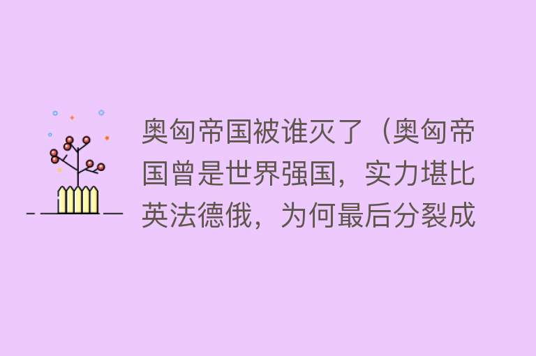 奥匈帝国被谁灭了（奥匈帝国曾是世界强国，实力堪比英法德俄，为何最后分裂成8国？） 