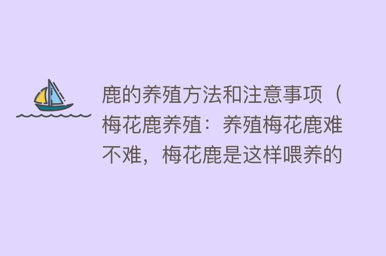 鹿的养殖方法和注意事项（梅花鹿养殖：养殖梅花鹿难不难，梅花鹿是这样喂养的，你知道了吗） 