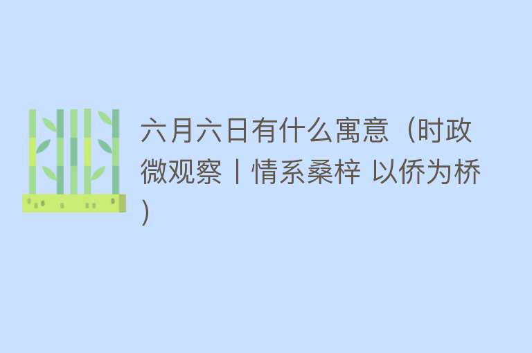 六月六日有什么寓意（时政微观察丨情系桑梓 以侨为桥） 